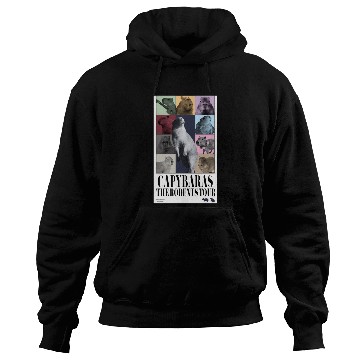 Discover Eras Tour Hoodies