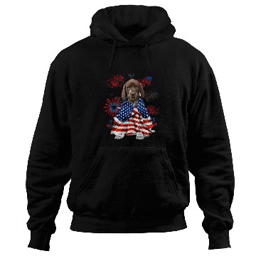 Discover Dog German Shorthaired Pointer Dog American USA Flag 4th of July Hoodies