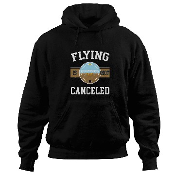 Discover Funny Retro vintages Airplane Aviation Pilot Hoodies