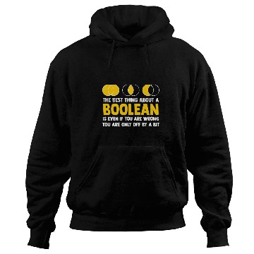 Discover Programmer Coder Developer Software Engineer Programming 1 Hoodies