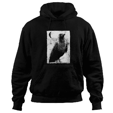 Discover Alternative Clothes Aesthetic Goth Women 2Crow Graphic Hoodies