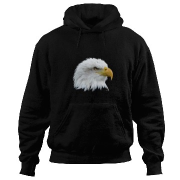 Discover Falconry White Head Eagle Hoodies