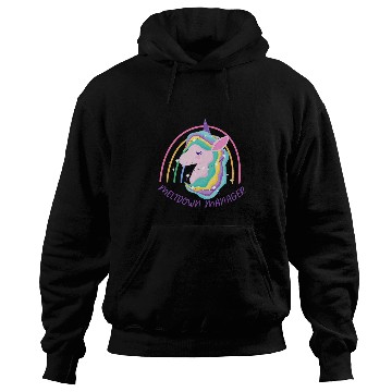Discover Daycare Provider Funny Meltdown Manager Teacher Appreciation Hoodies