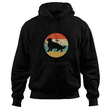 Discover Border Collie Pet Retro Border Collie Dog Breed Icon Hoodies