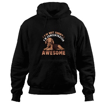 Discover Dachshund Pet s Funny Brown Wiener 450 Hoodies