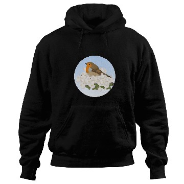 Discover Robin Bird Birdlover Birdwatcher Biologist Ornithologist Hoodies