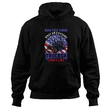 Discover Awesome Trucker Big Rig SemiTrailer Truck Driver Gift 5 Hoodies