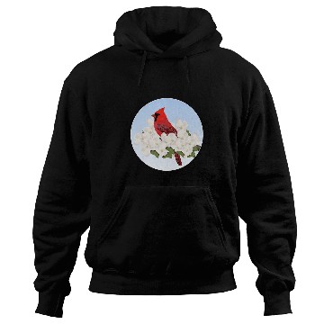 Discover Cardinal Bird Birdlover Birdwatcher Biologist Ornithologist Hoodies