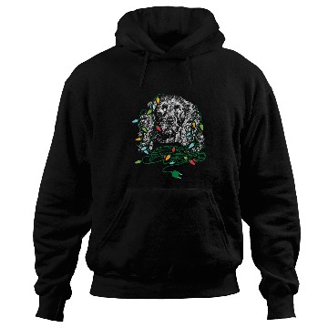 Discover Boykin Spaniel Pet Christmas Lights Boykin Spaniel Hoodies