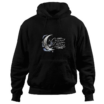 Discover Moon Phase Full Moon Lunar Eclipse Astronomer Astronomy Hoodies