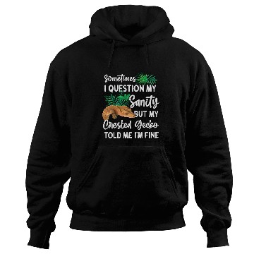 Discover Gecko Pet Sometimes I Question My Sanity 1 Hoodies