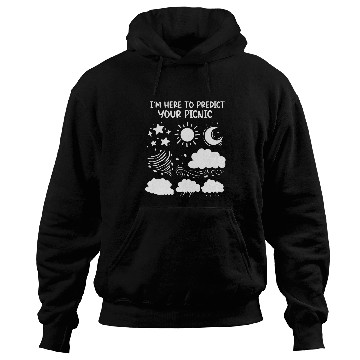 Discover Meteorologist Predict Your Picnic Weathermen Storm Chasing Hoodies