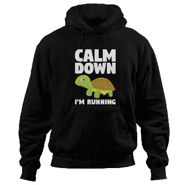 Discover Turtle Pet Calm Down Im Running For A Hoodies