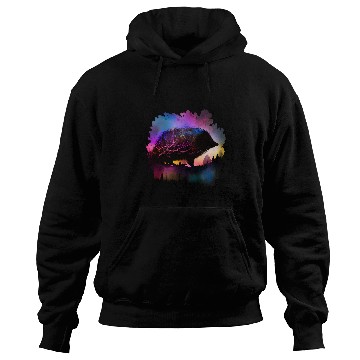 Discover Hedgehog Pet Colorful Wilderness Nature Hedgehog Reflection Hoodies