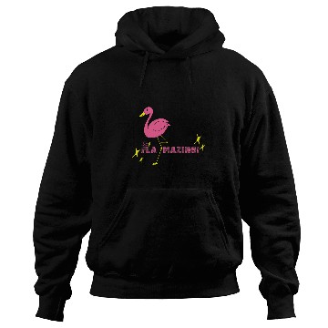 Discover Flamingo Pet Be Flamazing Pink Flamingo for Hoodies