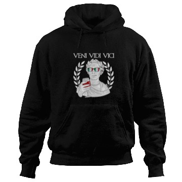 Discover Wines Fun Funny Julius Caesar Veni Vidi Vici Red Wines Tasting Winery Hoodies