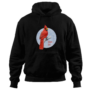 Discover Bear Pet Bear DE Pride Red Cardinal Birder Birdwatching Hoodies