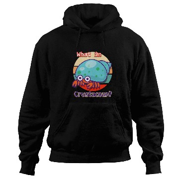 Discover Funny What In Crustacean Retro Hermit Crab Hoodies