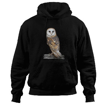 Discover Owl Pet Barn Owl Portrait Hoodies