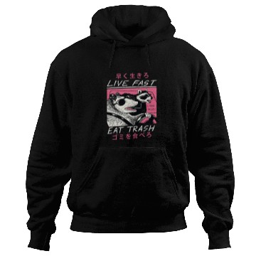 Discover Raccoon Pet Live Fast Eat Trash Opossum Raccoon Japanese Hoodies