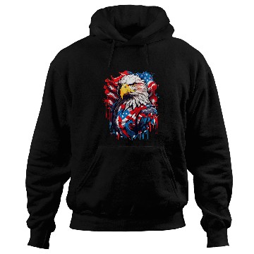 Discover USA Flag Bald Eagle American Flag 1 Hoodies