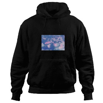 Discover Secret Garden Rose Tulips Hoodies
