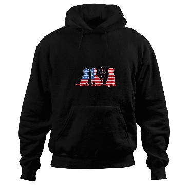 Discover Black Yellow Chocolate Fox Red Lab Silver Patriotic Labrador Hoodies