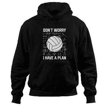Discover Dont Worry I Have A Plan School Spiker Volleyball Coach Hoodies