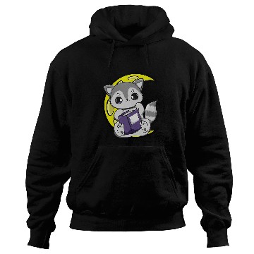 Discover Cute Racoon Reading A Spell Book For Magician And Book Lover Hoodies