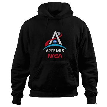 Discover Lacrosse Gift NASA Artemis Mission Worm Logo Hoodies