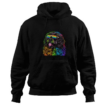 Discover LGBT Gay Pride Newfoundland dog Hoodies