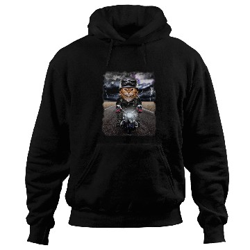 Discover Fluffy Orange Cat on Motorcycle Cruise Down Highway 21 Hoodies