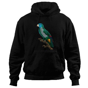 Discover Parrot Tropical bird from the rainforest 25 Hoodies
