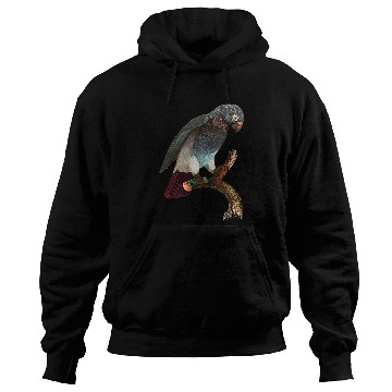 Discover Parrot Tropical bird from the rainforest 23 Hoodies