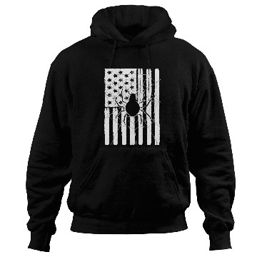 Discover USA American Flag Spider Theme Idea For Insect Lovers Hoodies