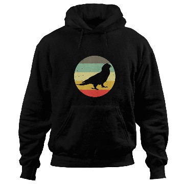 Discover Retro Tropical Bird Lover Ornithologist 2vintages Parrot Hoodies