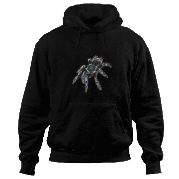 Discover Zebra Tarantula Spider Hoodies