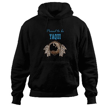 Discover Native American Buffalo Beautiful Hoodies