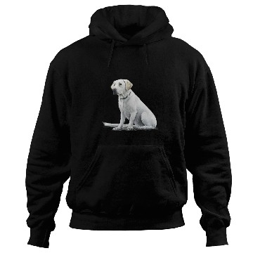 Discover Labrador Lab Dog Lover Splash Graffiti Art Pet 6 6 Hoodies