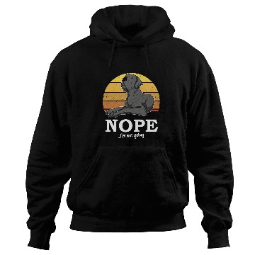 Discover Dog Great Dane German Mastiff Great Dane Sunset 29 8 Hoodies