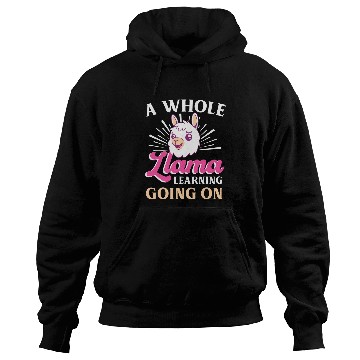 Discover Funny School Learning Llama Pun Teacher Student Joke Hoodies