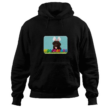 Discover Newfoundland w Bunny Ears Hoodies