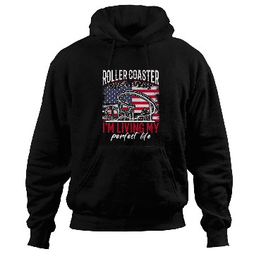 Discover Roller Coaster Test Pilot vintages USA Flagg Amusement Park Hoodies