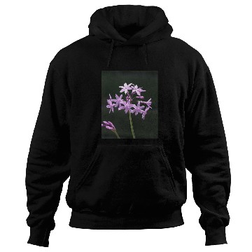 Discover Society Garlic Close Up Photograph Hoodies