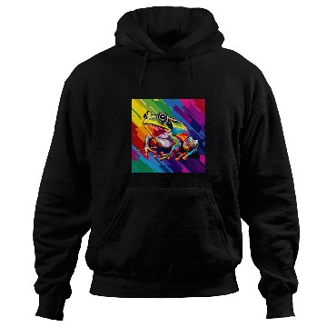 Discover Abstract Frog Rainbow Illustration Hoodies