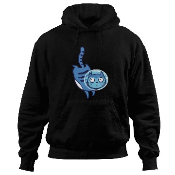 Discover Space cat Hoodies