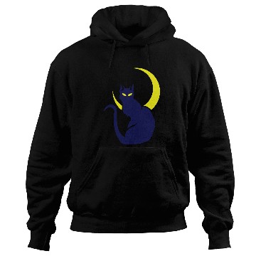 Discover night cat Hoodies