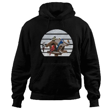 Discover Birds Bird House Cardinal Blue Jay Robin Sparrow Hoodies