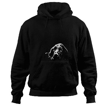 Discover Black Labrador Retriever Hoodies