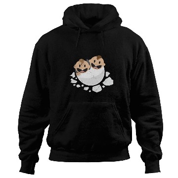Discover Baby Hatching Twins Newborn Funny Gift Idea Hoodies
